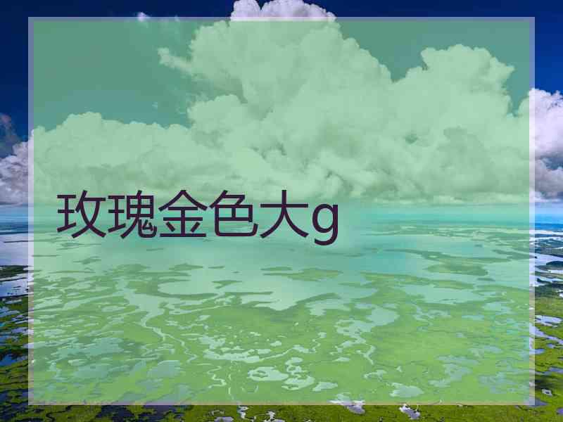 玫瑰金色大g 玫瑰金色大g