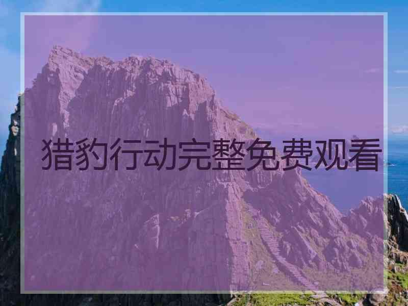 猎豹行动完整免费观看 猎豹行动完整免费观看