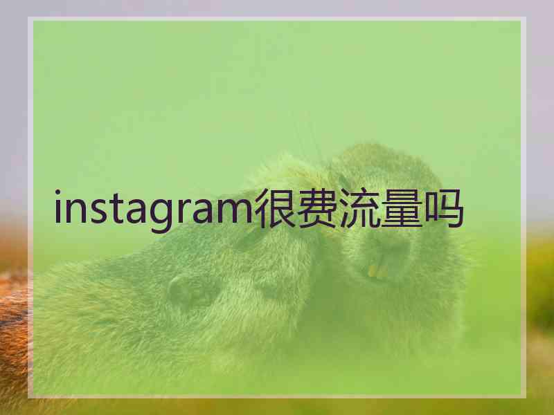 instagram很费流量吗 instagram很费流量吗