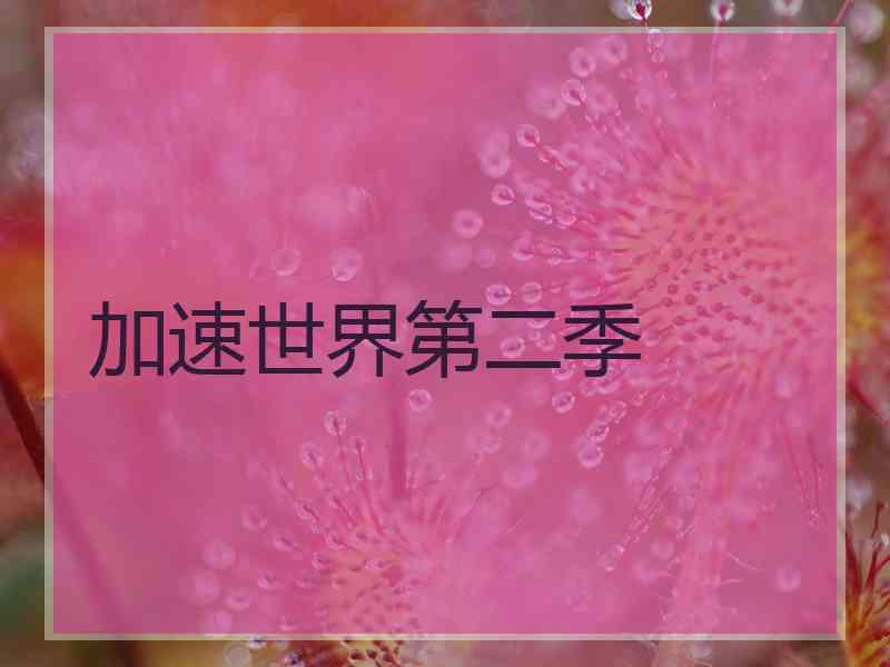 加速世界第二季 加速世界第二季