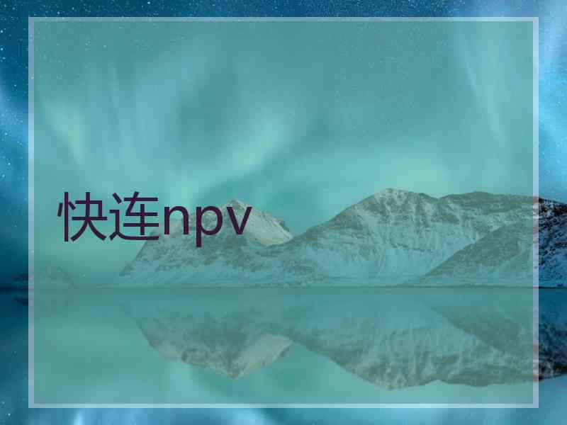 快连npv 快连npv