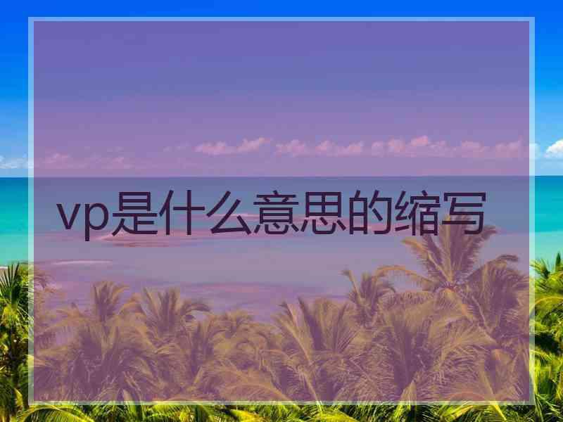 vp是什么意思的缩写 vp是什么意思的缩写