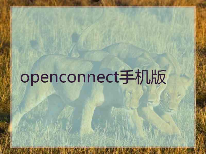openconnect手机版 openconnect手机版