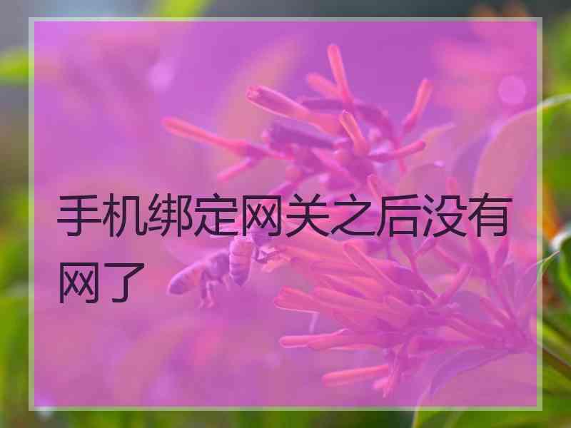 手机绑定网关之后没有网了 手机绑定网关之后没有网了