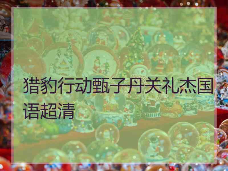 猎豹行动甄子丹关礼杰国语超清 猎豹行动甄子丹关礼杰国语超清