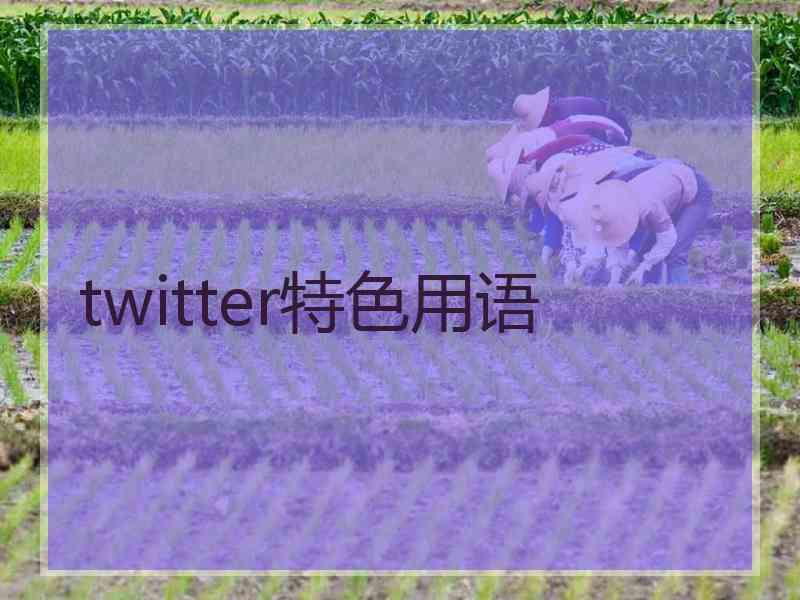 twitter特色用语 twitter特色用语