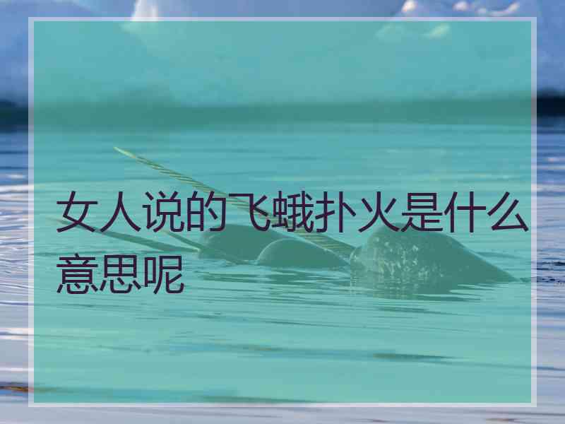 女人说的飞蛾扑火是什么意思呢 女人说的飞蛾扑火是什么意思呢