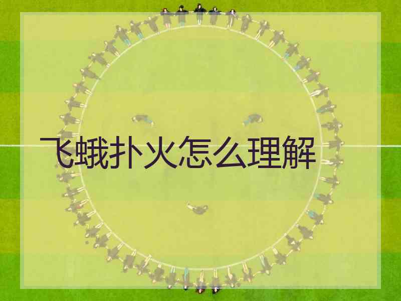 飞蛾扑火怎么理解 飞蛾扑火怎么理解