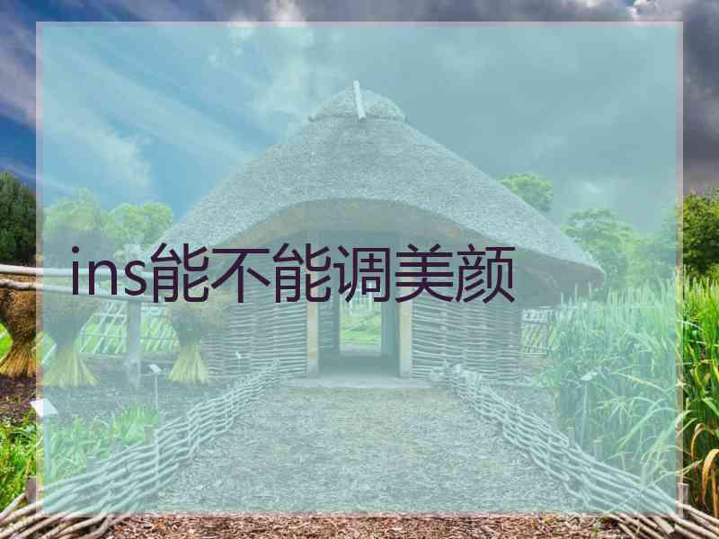 ins能不能调美颜 ins能不能调美颜