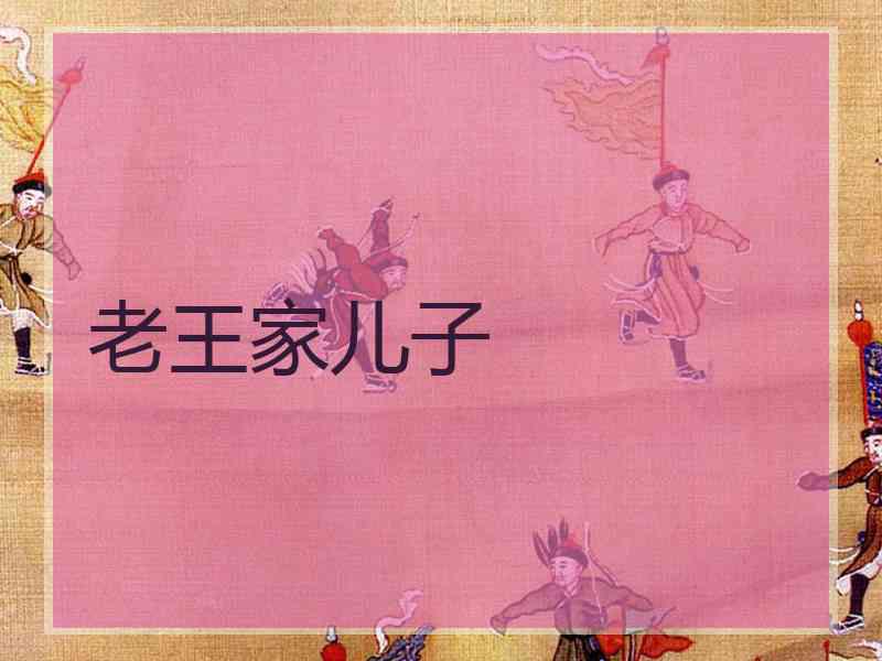 老王家儿子 老王家儿子