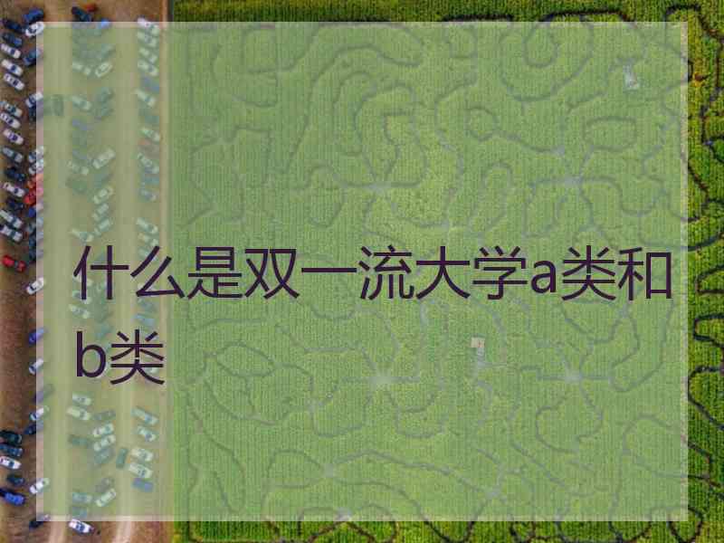什么是双一流大学a类和b类 什么是双一流大学a类和b类