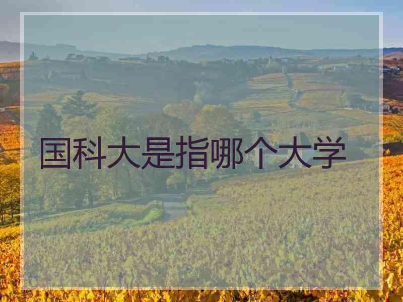 国科大是指哪个大学 国科大是指哪个大学