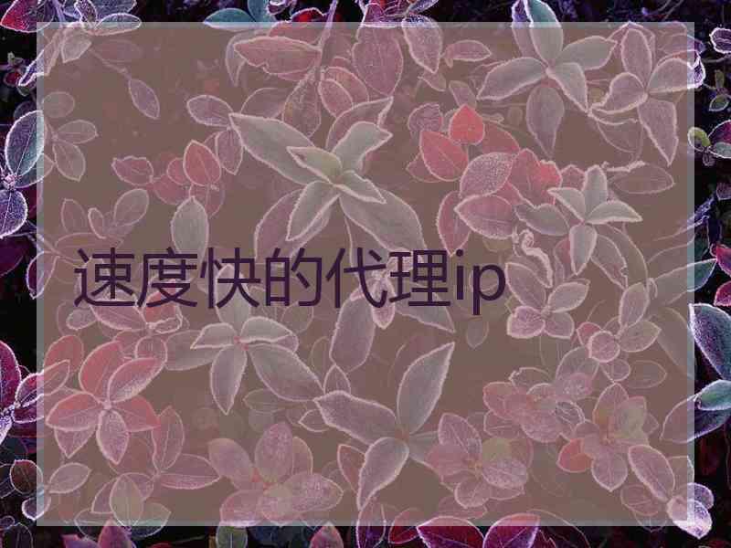 速度快的代理ip 速度快的代理ip
