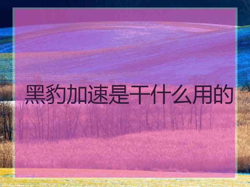 黑豹加速是干什么用的 黑豹加速是干什么用的