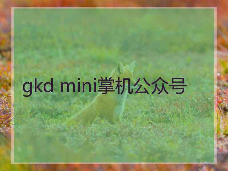 gkd mini掌机公众号 gkd mini掌机公众号