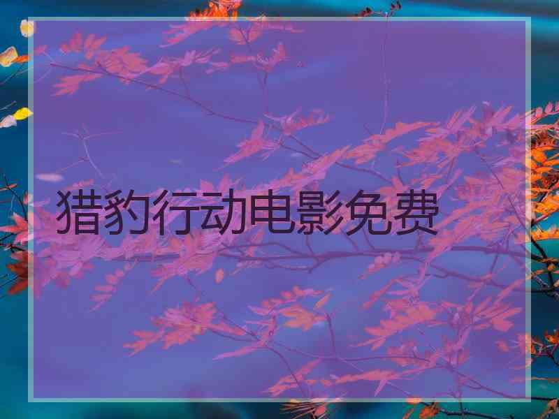 猎豹行动电影免费 猎豹行动电影免费