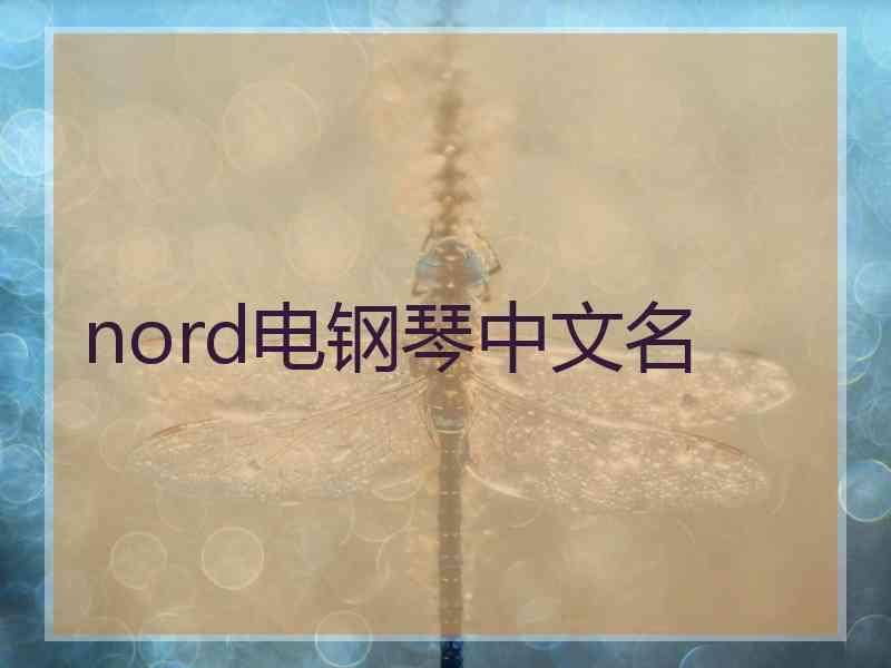 nord电钢琴中文名 nord电钢琴中文名