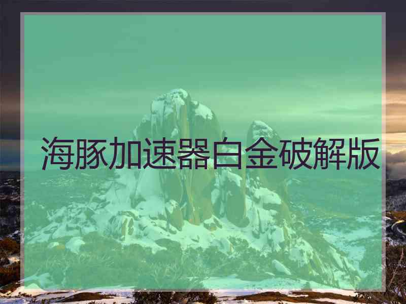 海豚加速器白金破解版 海豚加速器白金破解版