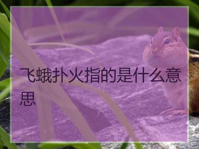 飞蛾扑火指的是什么意思 飞蛾扑火指的是什么意思