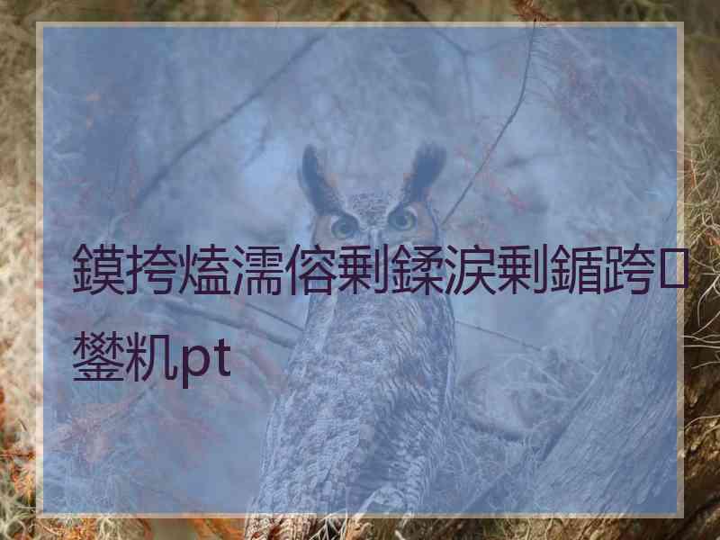 鏌挎熆濡傛剰鍒涙剰鍎跨鐢籶pt 鏌挎熆濡傛剰鍒涙剰鍎跨鐢籶pt