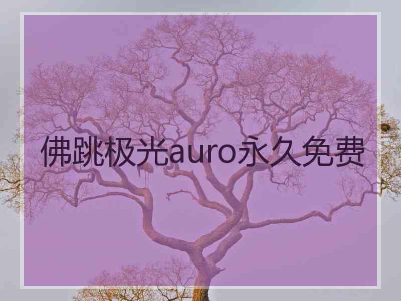 佛跳极光auro永久免费 佛跳极光auro永久免费