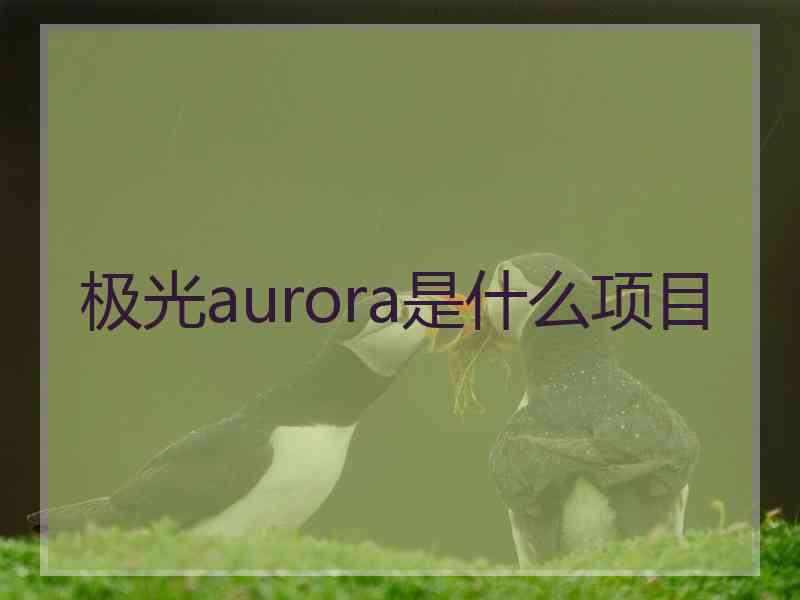 极光aurora是什么项目 极光aurora是什么项目