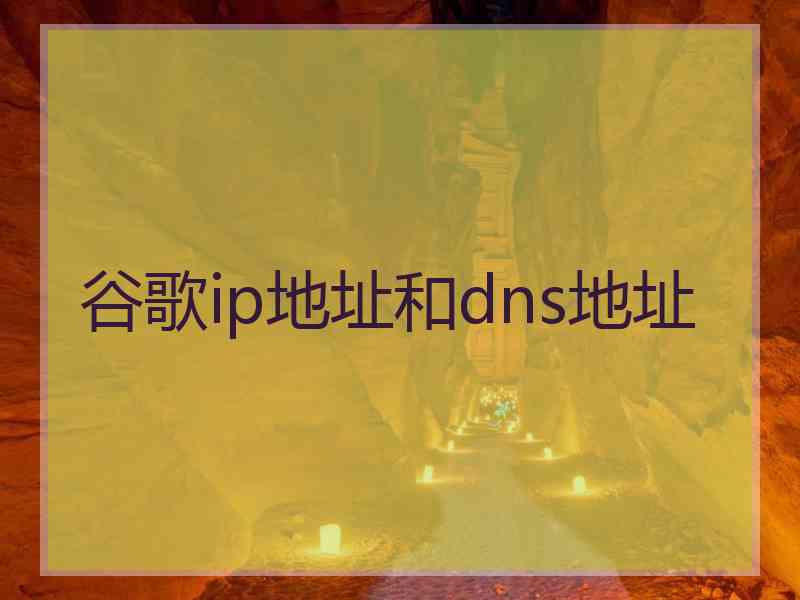 谷歌ip地址和dns地址 谷歌ip地址和dns地址