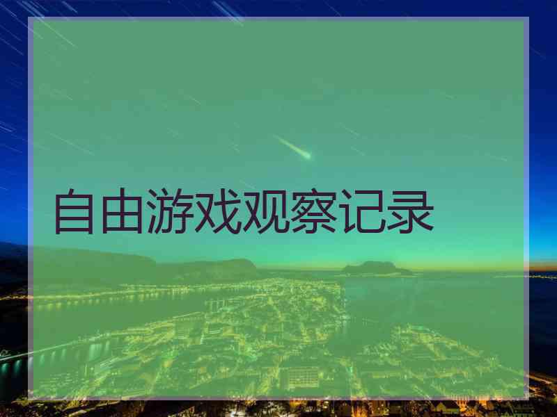 自由游戏观察记录 自由游戏观察记录