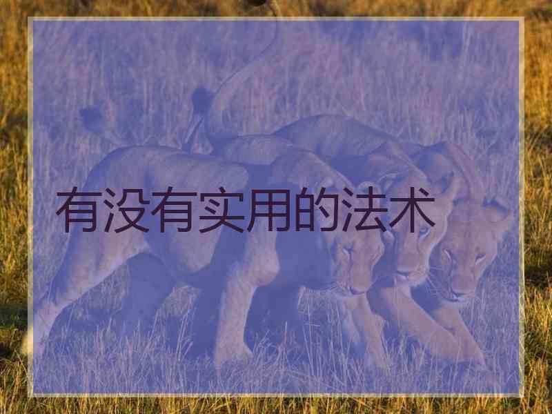 有没有实用的法术 有没有实用的法术