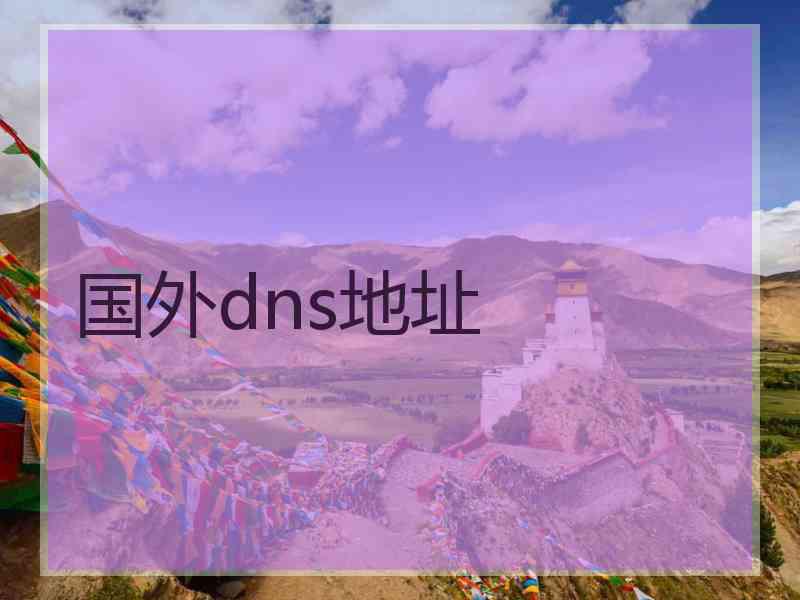 国外dns地址 国外dns地址