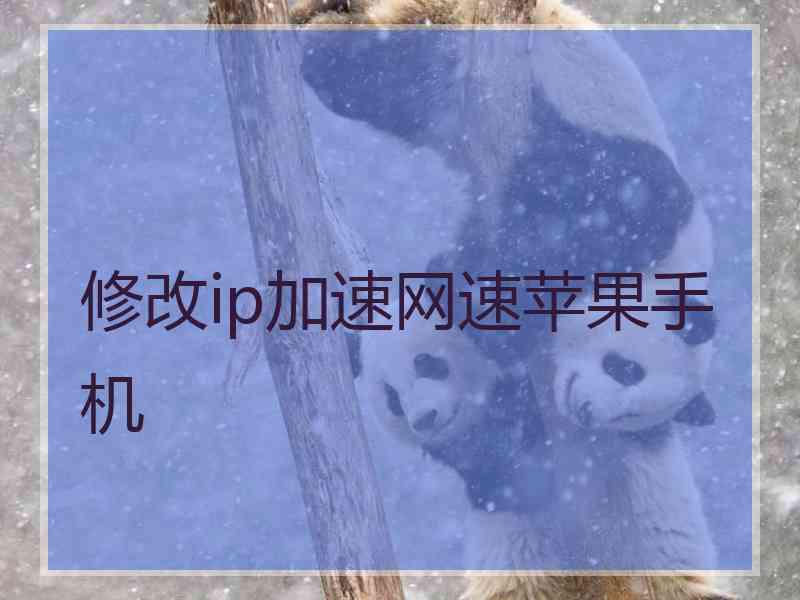 修改ip加速网速苹果手机 修改ip加速网速苹果手机
