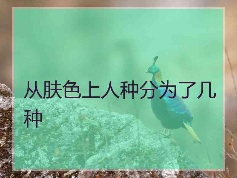 从肤色上人种分为了几种 从肤色上人种分为了几种