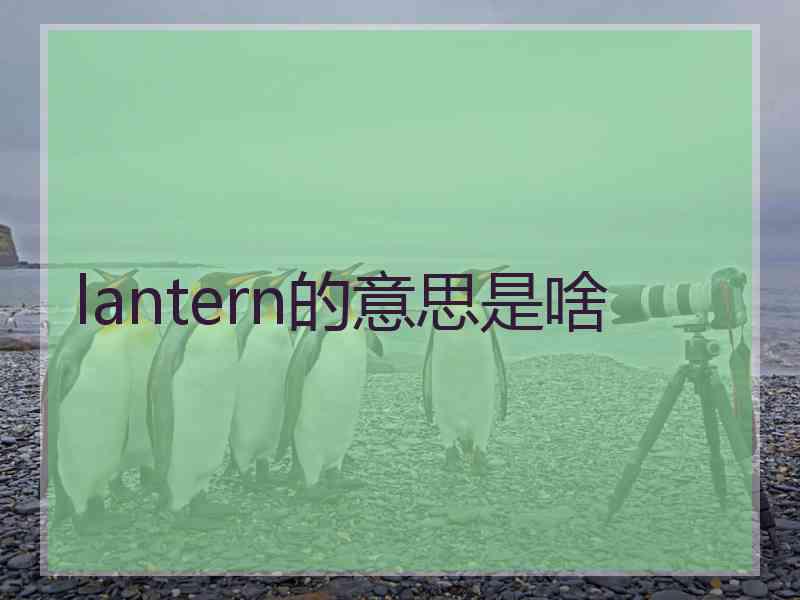 lantern的意思是啥 lantern的意思是啥