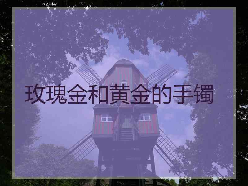 玫瑰金和黄金的手镯 玫瑰金和黄金的手镯