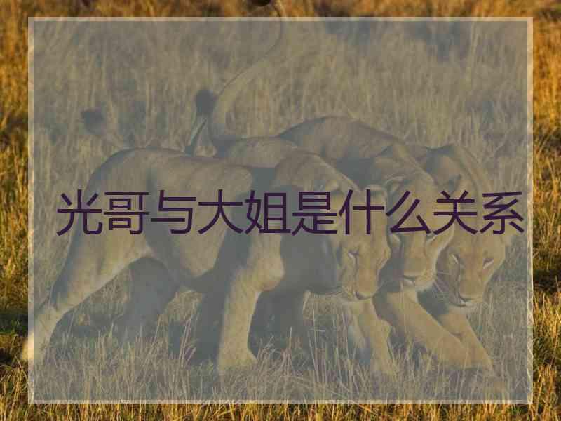 光哥与大姐是什么关系 光哥与大姐是什么关系