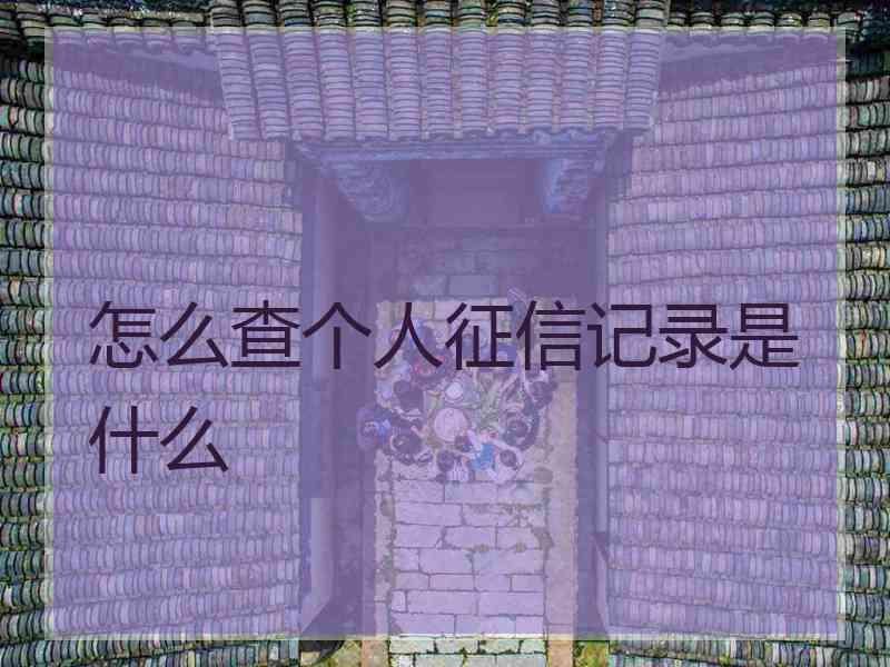 怎么查个人征信记录是什么 怎么查个人征信记录是什么