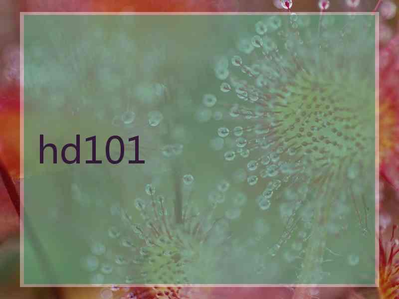 hd101 hd101