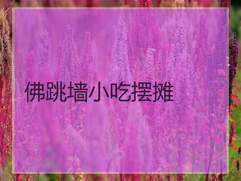 佛跳墙小吃摆摊 佛跳墙小吃摆摊