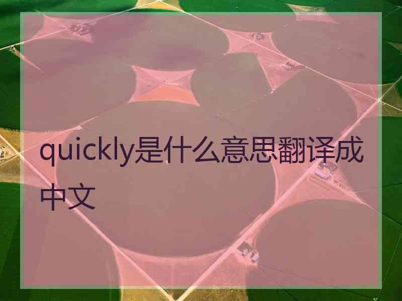 quickly是什么意思翻译成中文 quickly是什么意思翻译成中文