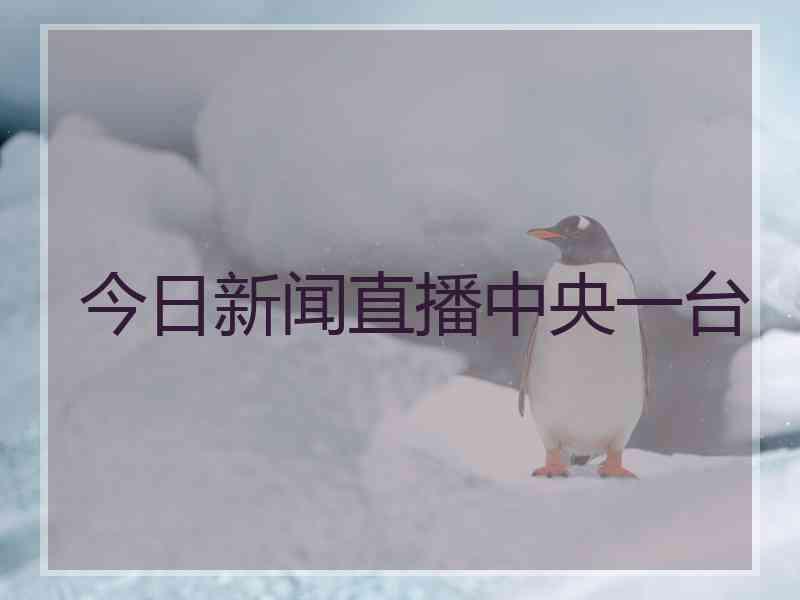 今日新闻直播中央一台 今日新闻直播中央一台
