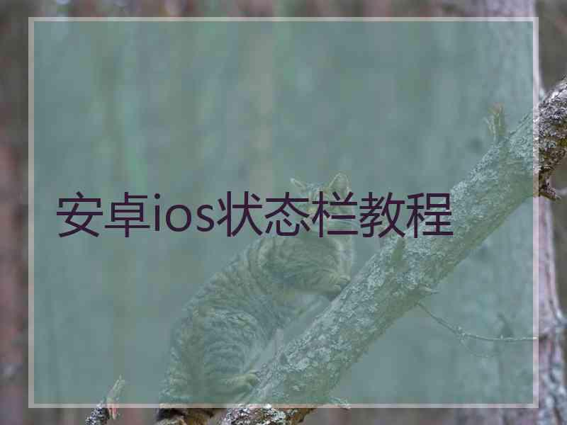 安卓ios状态栏教程 安卓ios状态栏教程