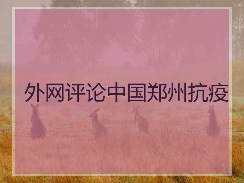 外网评论中国郑州抗疫 外网评论中国郑州抗疫