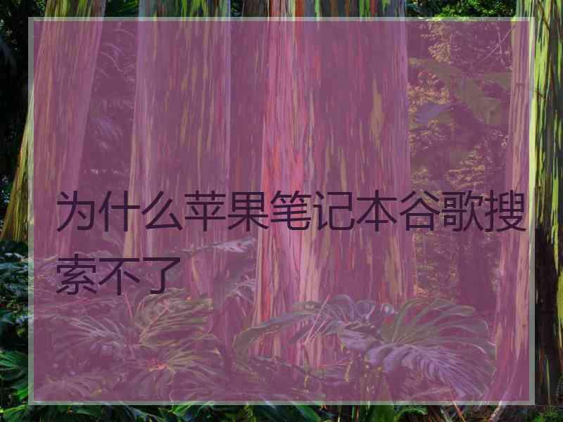为什么苹果笔记本谷歌搜索不了 为什么苹果笔记本谷歌搜索不了