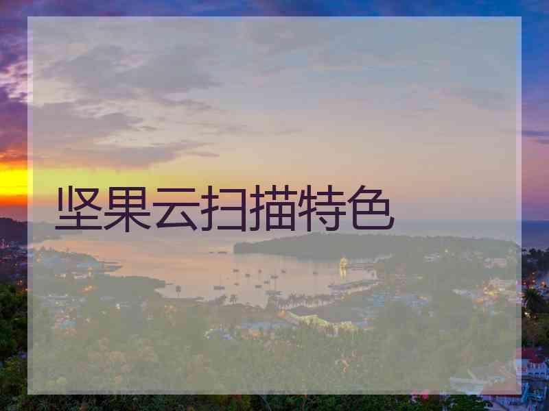 坚果云扫描特色 坚果云扫描特色