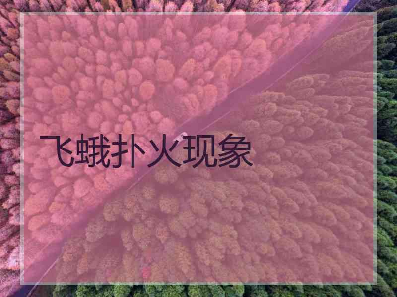 飞蛾扑火现象 飞蛾扑火现象