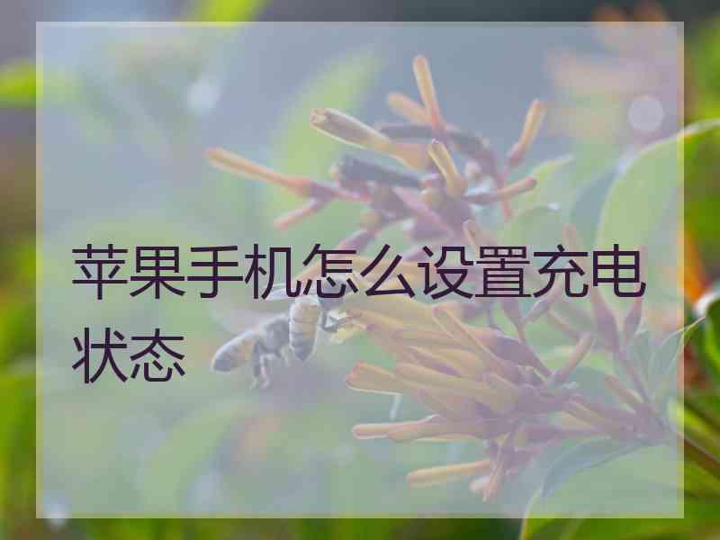 苹果手机怎么设置充电状态 苹果手机怎么设置充电状态
