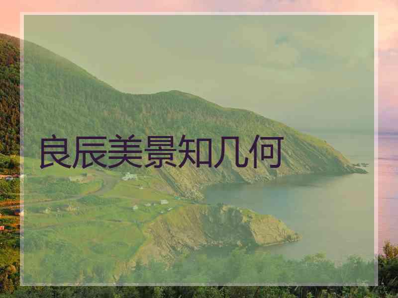 良辰美景知几何 良辰美景知几何