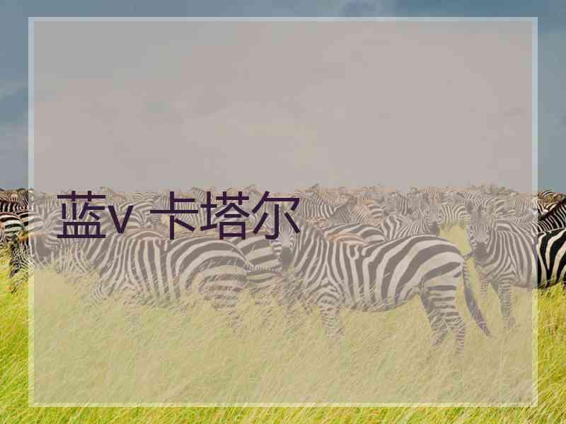 蓝v 卡塔尔 蓝v 卡塔尔