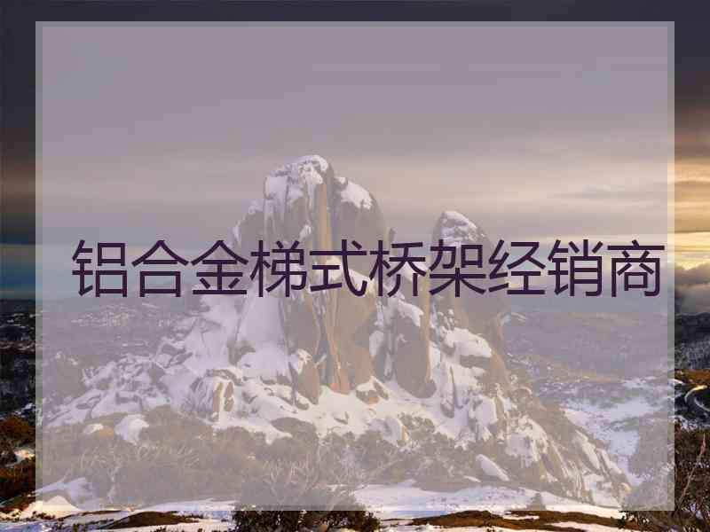铝合金梯式桥架经销商 铝合金梯式桥架经销商