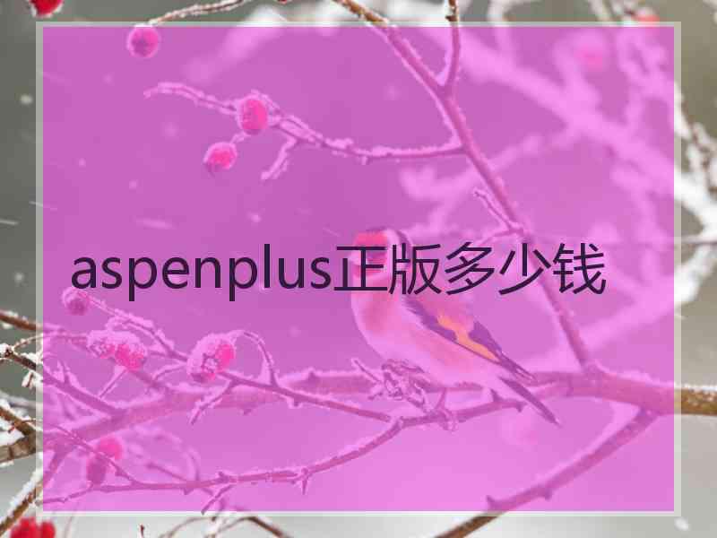 aspenplus正版多少钱 aspenplus正版多少钱